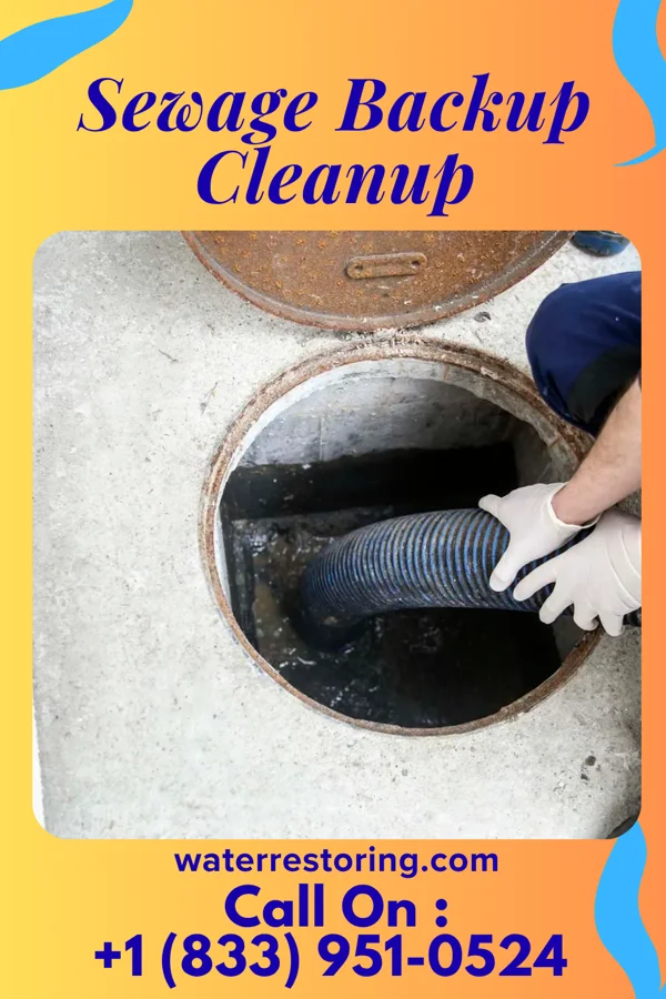 Sewage Backup Cleanup in Rock Springs, WI