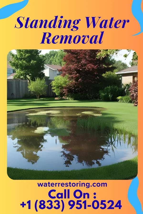 Standing Water Removal in Rock Springs, WI